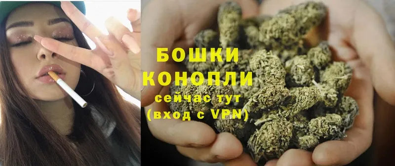 Конопля Ganja  Приморско-Ахтарск 